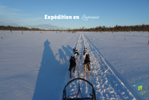 Nos prestations sur le secteur de Besançon